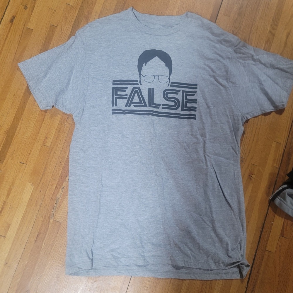 The Office Dwight Schrute False Beard Graphic Tee Shirt Mens L Grey Pop Culture